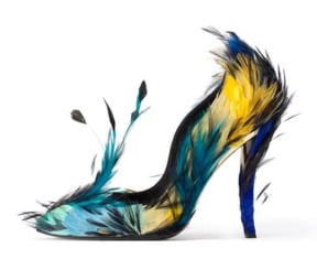 limcollege.edu staff Staff Profiles Desktops & Documents mfinnin My Documents My Pictures Website images blog photos evoli 102512 c resized 600