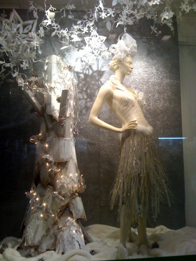 limcollege.edu staff Staff Profiles Desktops & Documents mfinnin My Documents My Pictures Website images blog photos evoli 010713 b resized 600