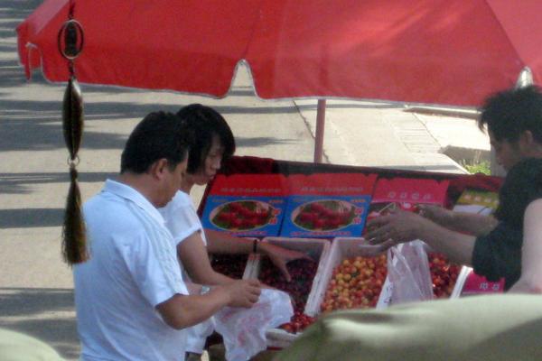   limcollege.edu staff Staff Profiles Desktops & Documents lola.rephann My Documents website BLOGS Hubspot Blogs Study Abroad China Cherries