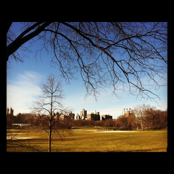   limcollege.edu staff Staff Profiles Desktops & Documents mfinnin My Documents My Pictures Website images blog photos vanderlinden feb6 resized 600