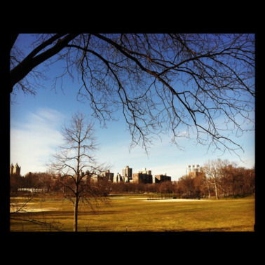 limcollege.edu staff Staff Profiles Desktops & Documents mfinnin My Documents My Pictures Website images blog photos vanderlinden feb6 resized 600