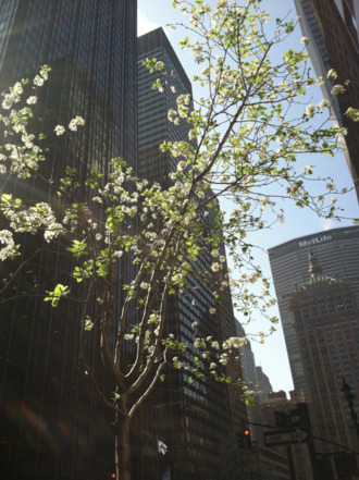  limcollege.edu staff Staff Profiles Desktops & Documents mfinnin My Documents My Pictures Website images blog photos vander linden032312 c resized 600