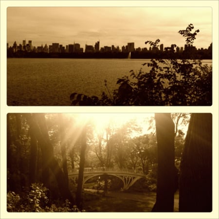 limcollege.edu staff Staff Profiles Desktops & Documents mfinnin My Documents My Pictures Website images blog photos vander linden 0921 resized 600