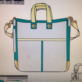   limcollege.edu staff Staff Profiles Desktops & Documents mfinnin My Documents My Pictures Website images blog photos mcdermott 110512 bag resized 600