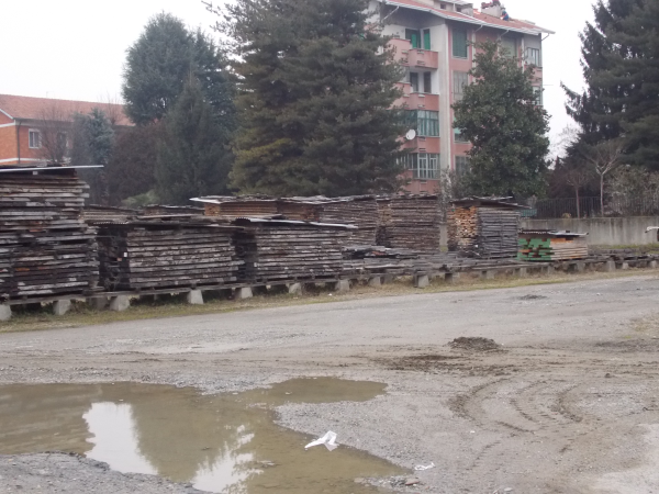   limcollege.edu staff Staff Profiles Desktops & Documents mfinnin My Documents My Pictures Website images study abroad blogs francois 011113 J resized 600