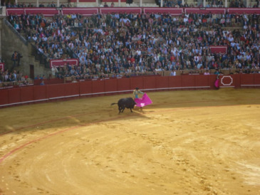   limcollege.edu staff Staff Profiles Desktops & Documents mfinnin My Documents My Pictures Website images study abroad blogs davidowitz 042312c resized 600