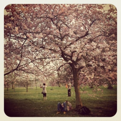 limcollege.edu staff Staff Profiles Desktops & Documents mfinnin My Documents My Pictures Website images study abroad blogs davidowitz 050212 b resized 600