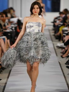 limcollege.edu staff Staff Profiles Desktops & Documents mfinnin My Documents My Pictures Website images blog photos Oscar Feather Cocktail resized 600