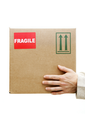   limcollege.edu staff Staff Profiles Desktops & Documents mfinnin My Documents My Pictures Website images package delivery resized 600