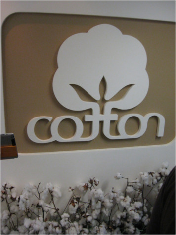 K  Institutional Advancement Photos Blogs Study Abroad China 2011 Cotton Inc resized 600