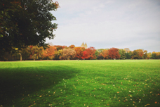 Aaron Ku - Central Park