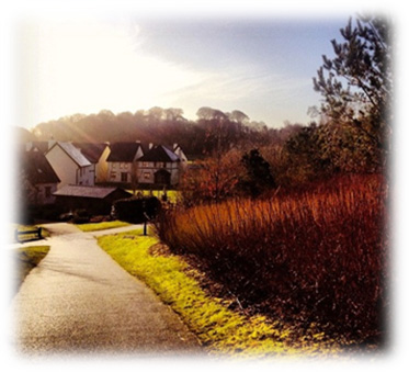 The Lodges at Fota Island