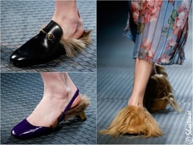 Shoe Fur.jpg