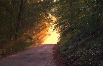 sunlight_road.jpg
